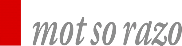 Page Header Logo